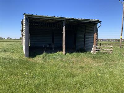 Picture 2
